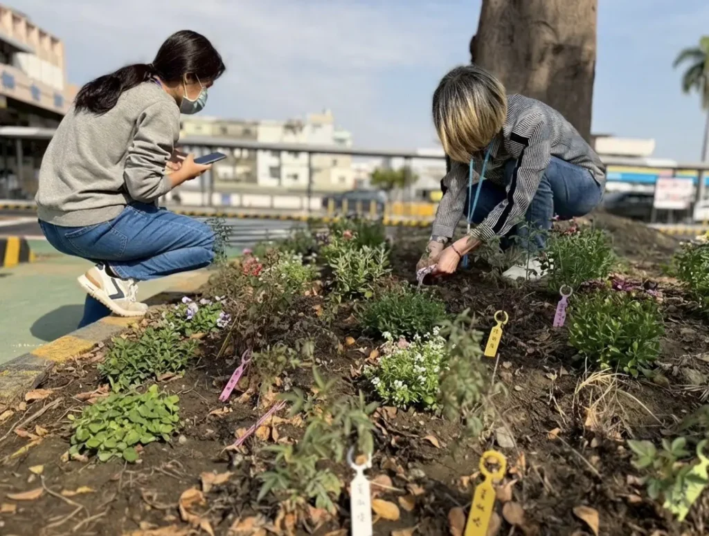 高雄區監理所推「預約早苗」快閃活動 汽燃費約扣結合減碳永續 提前達標種下100棵樹