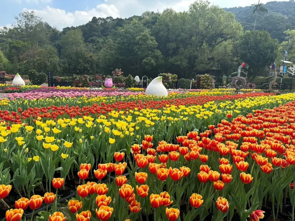 台北燈節2/25璀璨登場　首推雙展區、雙ip亮相西門町與圓山