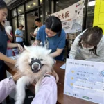 快帶毛孩報名！嘉義市絕育最高補助1500、免費狂犬疫苗限1500劑