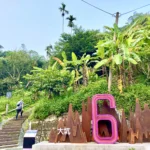 馬年行大運！　大坑步道特色滿點-登頂保證「龍馬」精神