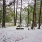 冬季暢遊梨山　在台中就能遇見雪國風景
