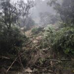 中橫宜蘭支線坍方交管搶修 1/5起分時放行、夜間封路至1/16