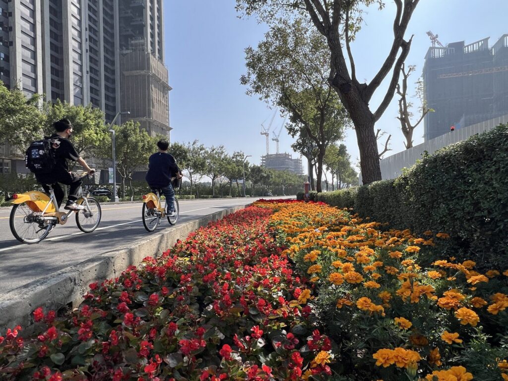 2026新年走春好去處！台中道路、公園繽紛蒔花妝點城市景觀