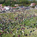 「2026芬響農食典白寶玉出土記」熱鬧登場　千人齊聚芬園體驗拔蘿蔔