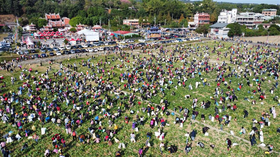 「2026芬響農食典白寶玉出土記」熱鬧登場　千人齊聚芬園體驗拔蘿蔔