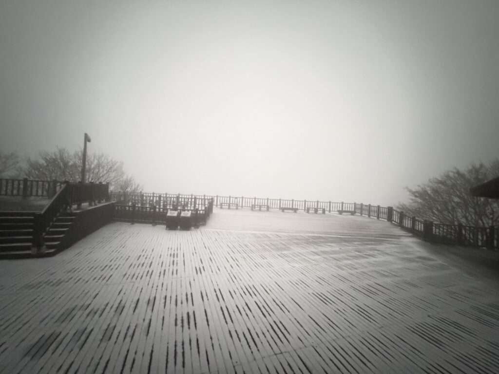 冷氣團發威太平山零下2度　霧淞銀白世界遊客嗨翻