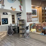 新北李科永紀念圖書館與動保處跨界合作　設立兒童寵物圖書專區