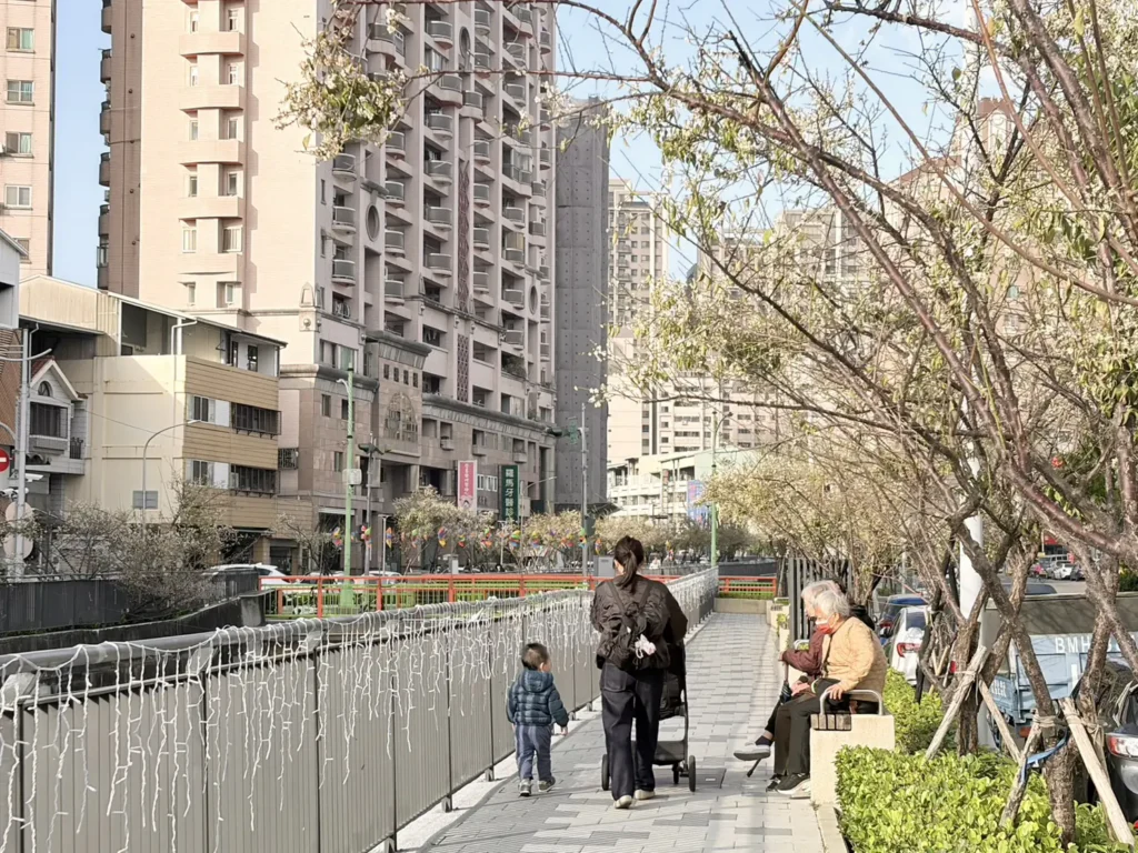 梅川沿岸梅花盛開！　中市推動人本改善-串聯市區賞花更安全舒適