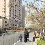 梅川沿岸梅花盛開！　中市推動人本改善-串聯市區賞花更安全舒適