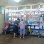 彰化縣「讓愛循環　物盡其用」即日起至3/27二手物大募集