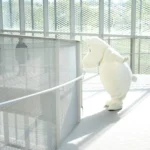 「姆明在哪裡？」-穿梭中市文化場域找線索