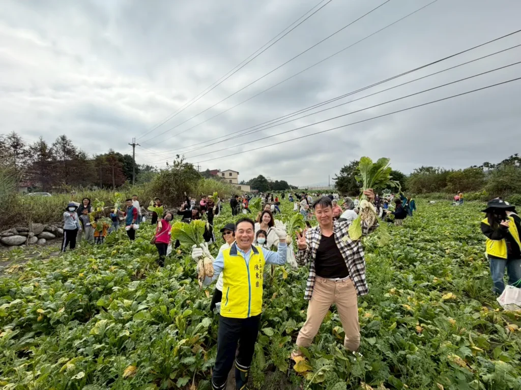 步步高升好彩頭　竹山鎮拔蘿蔔體驗活動加碼　現炸蘿蔔糕