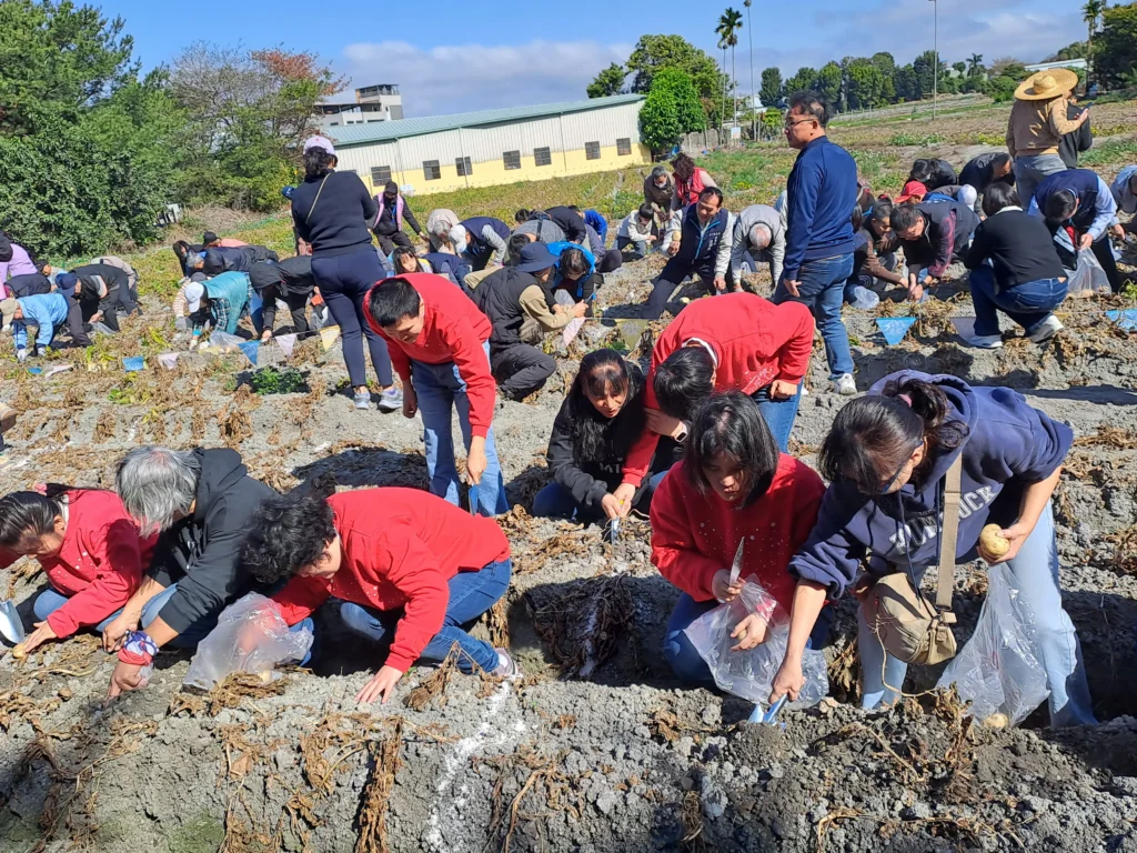 2026「搖滾馬鈴薯」產業文化推廣活動登場　走進潭子田園感受農村新魅力