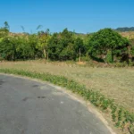 台中再添樹葬新據點　潭子生命紀念館樹葬區啟用-民政局長：提供多元永續殯葬選擇