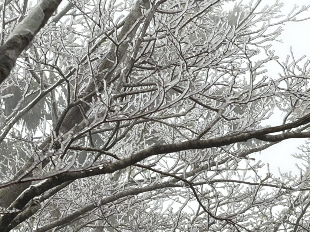 寒流發威　太平山下冰霰、遊客興奮搶拍