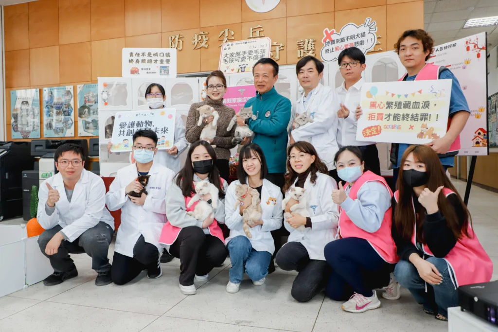 嘉義縣「喵星人命定配對」結果揭曉，0.65％中籤率抽出29位「鏟屎官」