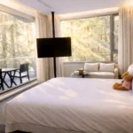 在2,274公尺的雲端醒來　阿里山賓館「雲端之森」頂級客房亮相