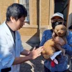 動保處深入偏鄉辦理寵物巡迴注射-守護毛孩健康