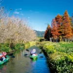 迎接春節連續假期　日月潭風景區加強交通疏運與旅遊服務