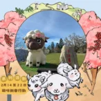 清境春節9天　合影集點抽紅包