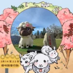 清境春節9天　合影集點抽紅包