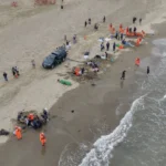 小虎鯨回家了！屏東擱淺救援成功-marn團隊助其重返大海