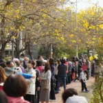 黃敏惠邀全台遊客來嘉賞花！「潮風鈴」音樂市集週末八掌溪畔登場