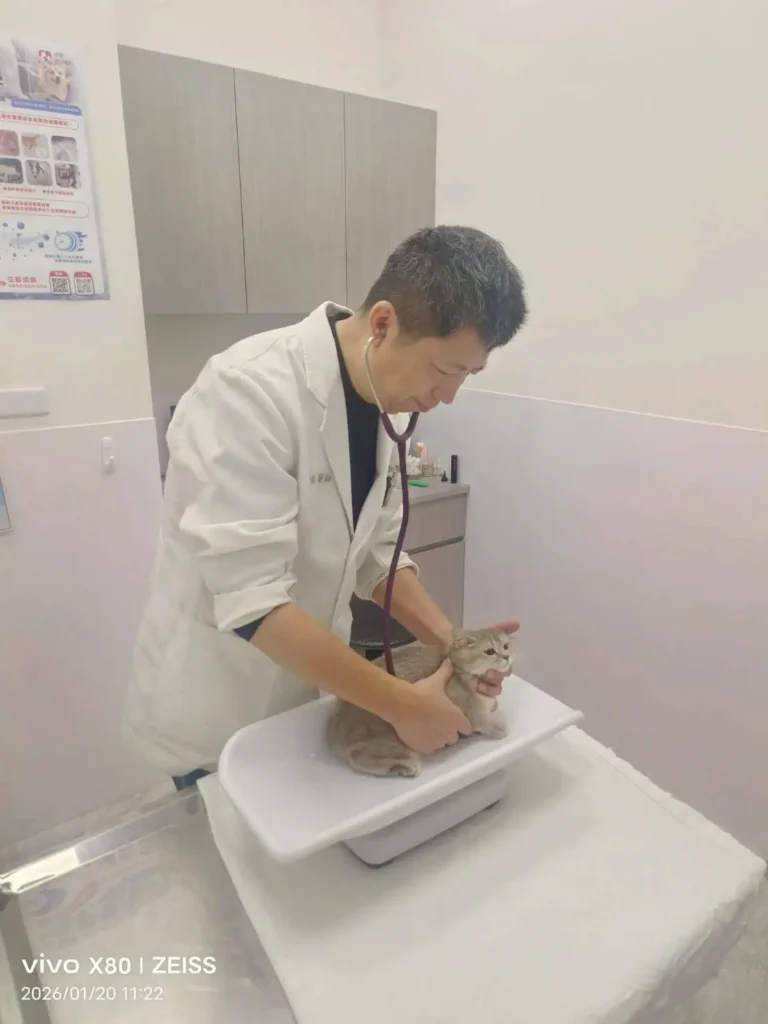 115年春節不打烊寵物服務5,666隻、急難救援94件　守護毛孩健康過好年！