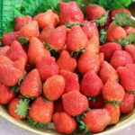 莓寶快閃送好禮！內湖草莓季三大好康攻略