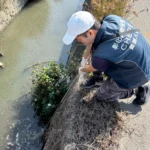 木棉花季到來　啟動東螺溪畜牧專案稽查