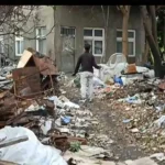 和美鎮民眾飼養犬隻危害公共安全　彰化縣動防所強力介入依法究責