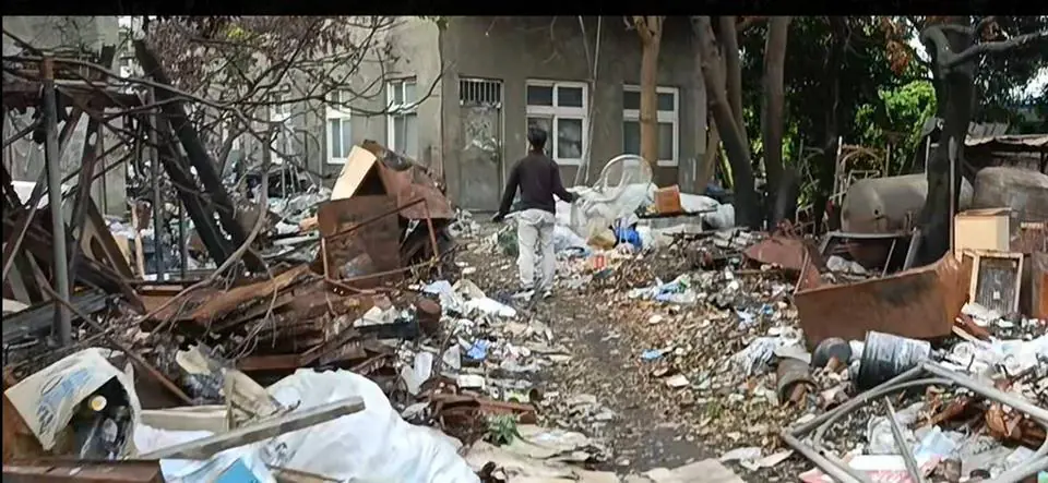 和美鎮民眾飼養犬隻危害公共安全　彰化縣動防所強力介入依法究責