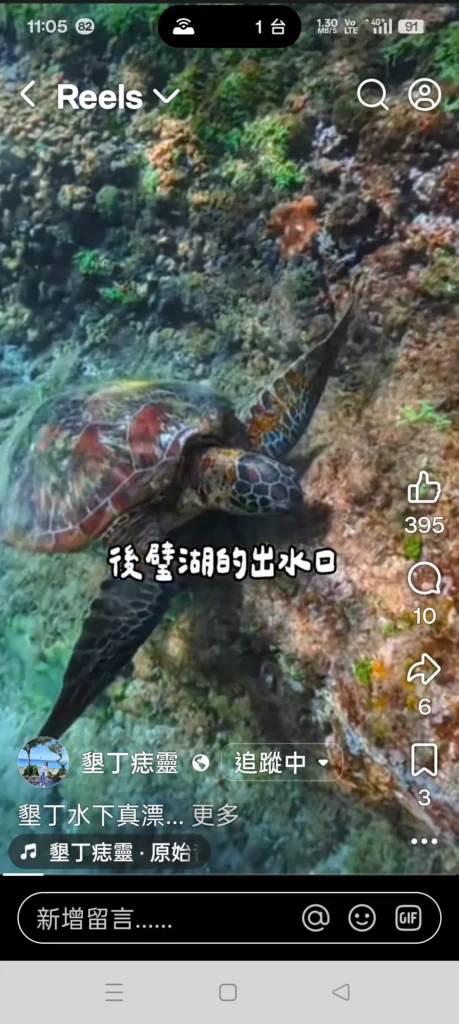 海水正藍-氣候宜人　快來墾丁和海龜同遊浮潛吧