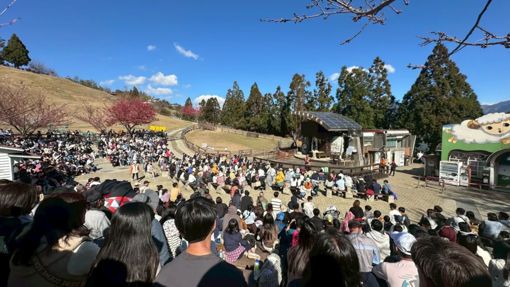 春遊清境騎馬看綿羊　再訪梅峰花海兩日遊