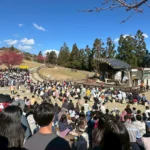 春遊清境騎馬看綿羊　再訪梅峰花海兩日遊