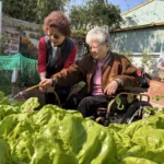 台中據點秀出銀髮力　勇奪衛福部金點獎3項大獎