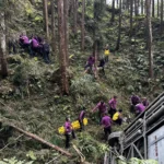 南投杉林溪遊園車突墜山谷　造成8人輕重傷送醫　其中1人頭部重創不治