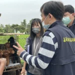 嘉縣查獲黑心繁殖狗場　63隻品種犬全數沒入　最高可罰300萬