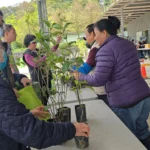 基隆「發票換樹苗」人氣爆棚　3509株苗木半日搶光