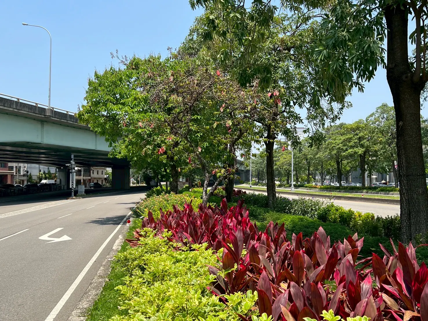 公私協力打造城市綠廊！　中市府媒合8企業投入逾3億元參與城市綠化建設