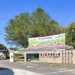 暨南大學繁星滿招　展現「宜學宜居」頂尖辦學實力