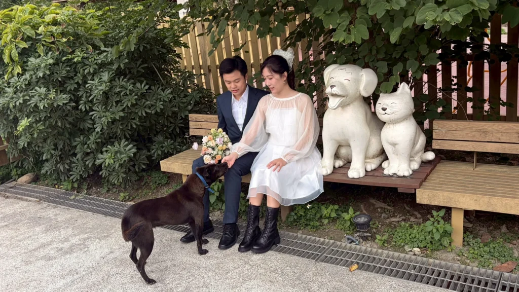 黑貓牽紅線　資深動保人攜手愛妻到中和動物之家拍婚紗　用愛傳遞生命教育