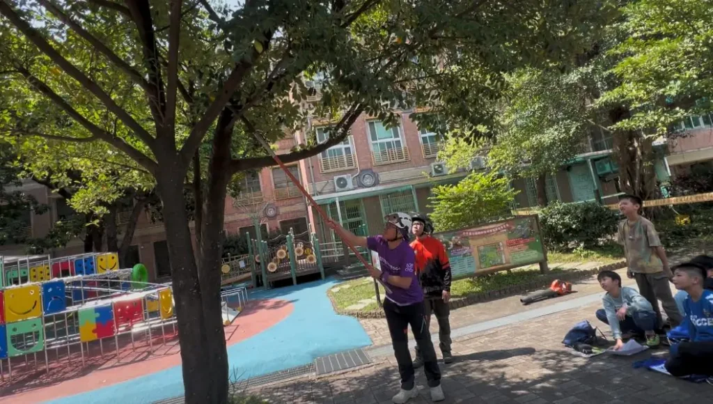 守護70年綠色記憶　古亭國小攜手台灣真美樹協會啟動「一校一棵經典樹」認養計畫