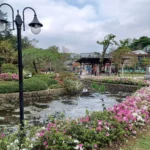 從春天開始慢生活　新北景觀處推金山中山溫泉公園　一年四季放鬆樂活