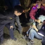 黑夜中一聲聲呼救　中興警消合力找回登山迷途老婦