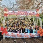 春日限定花海爆發　彰化木棉花季絕美綻放