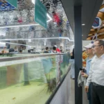 考察雪梨魚市場　侯友宜：借鏡國際經驗　持續翻轉新北市場