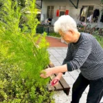 蘭陽仁愛之家安養中心長者用心栽種果實　點滴付出甜甜收穫