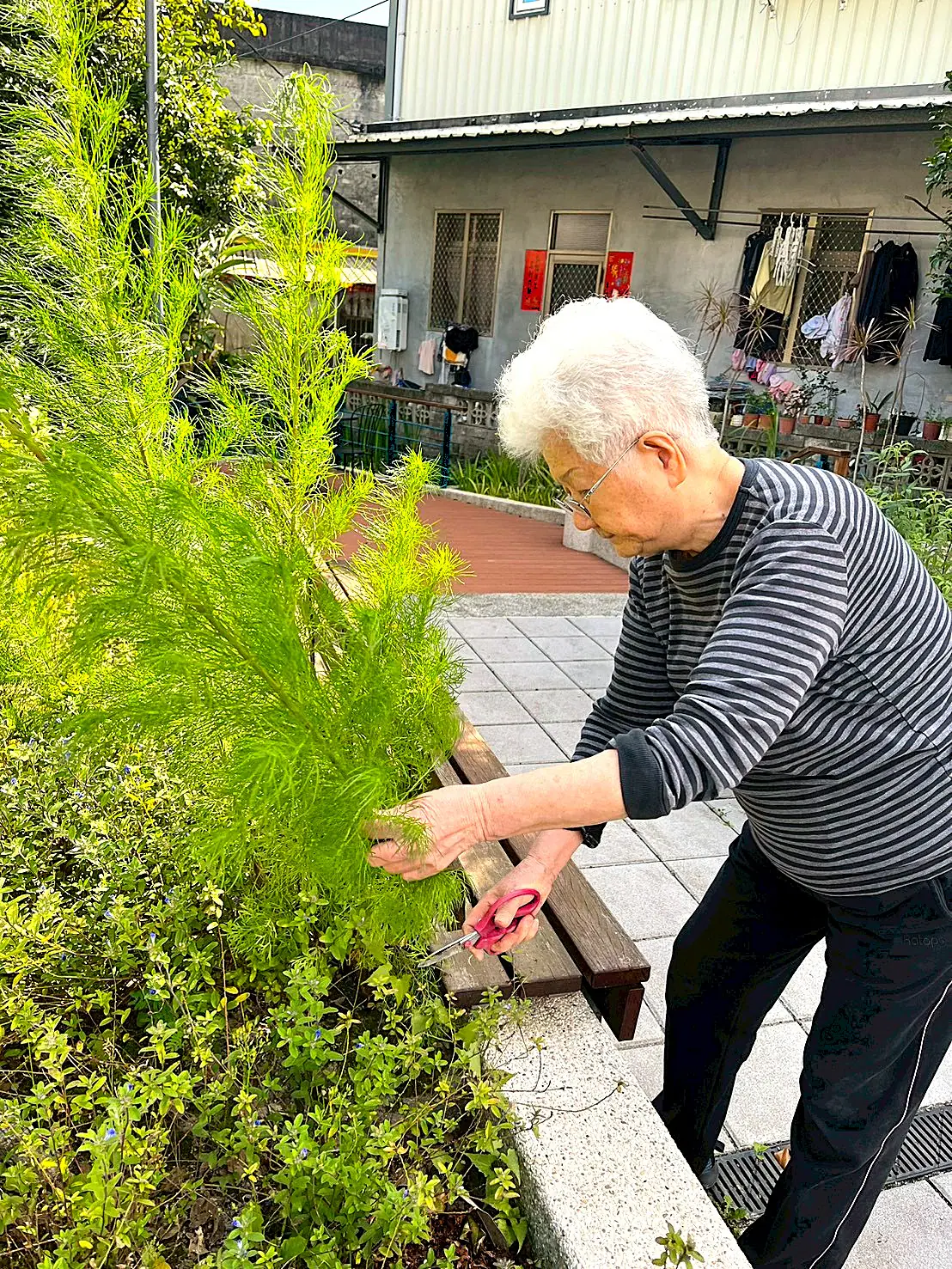 蘭陽仁愛之家安養中心長者用心栽種果實　點滴付出甜甜收穫