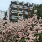 阿里山賓館推賞花精華路線　攝影達人帶路探森林秘境